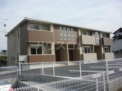 ダンデライオンB