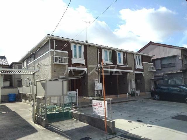 ネオコティ 大宝