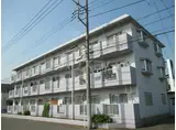 フラワーマンション