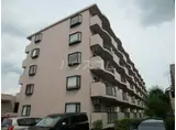 ラネックス川越