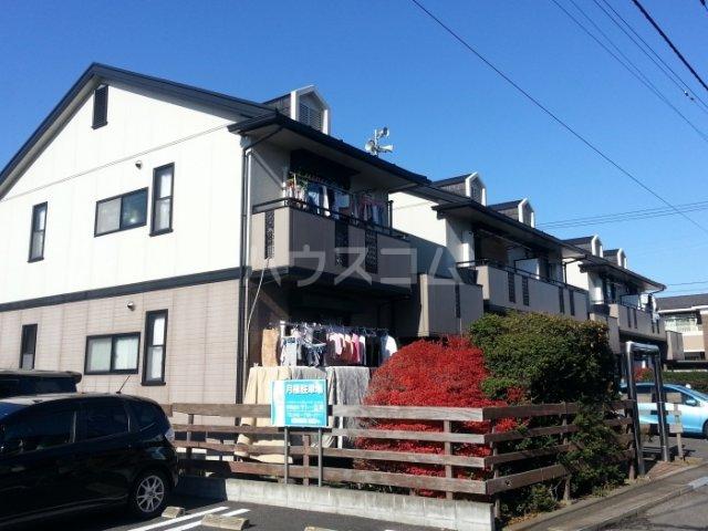 リビアン森野