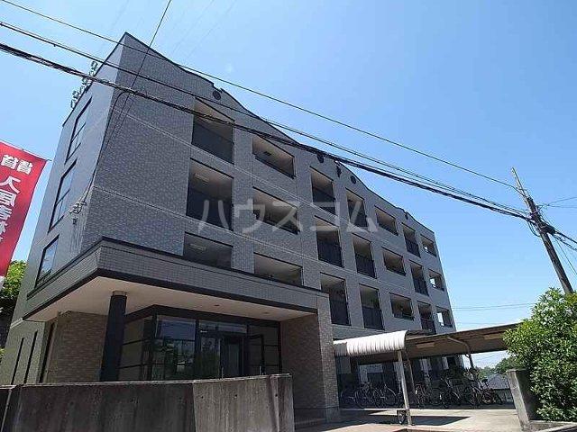 プリムローズ