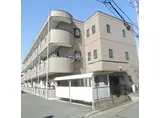 サングレース