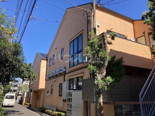 パ-ムグローヴ