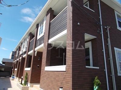  スカビオサ