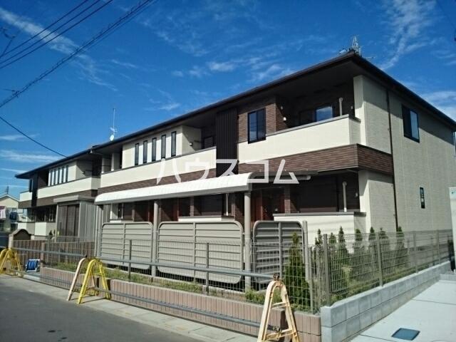 コスモス ストリート