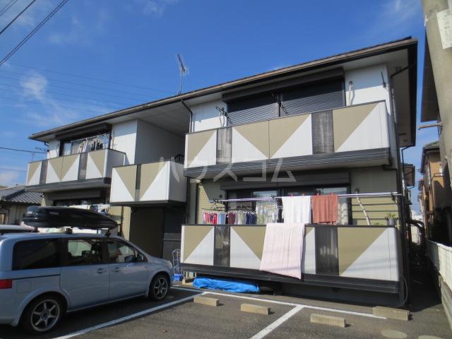 ロビンソシアA