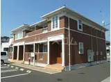 サンフラワーB