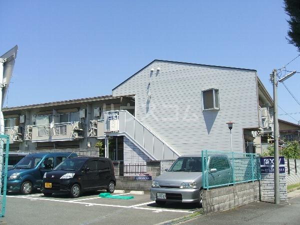 コスモ桂