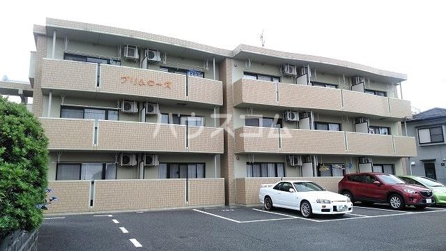 プリムローズ