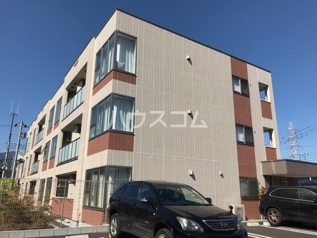 パームヒルズ