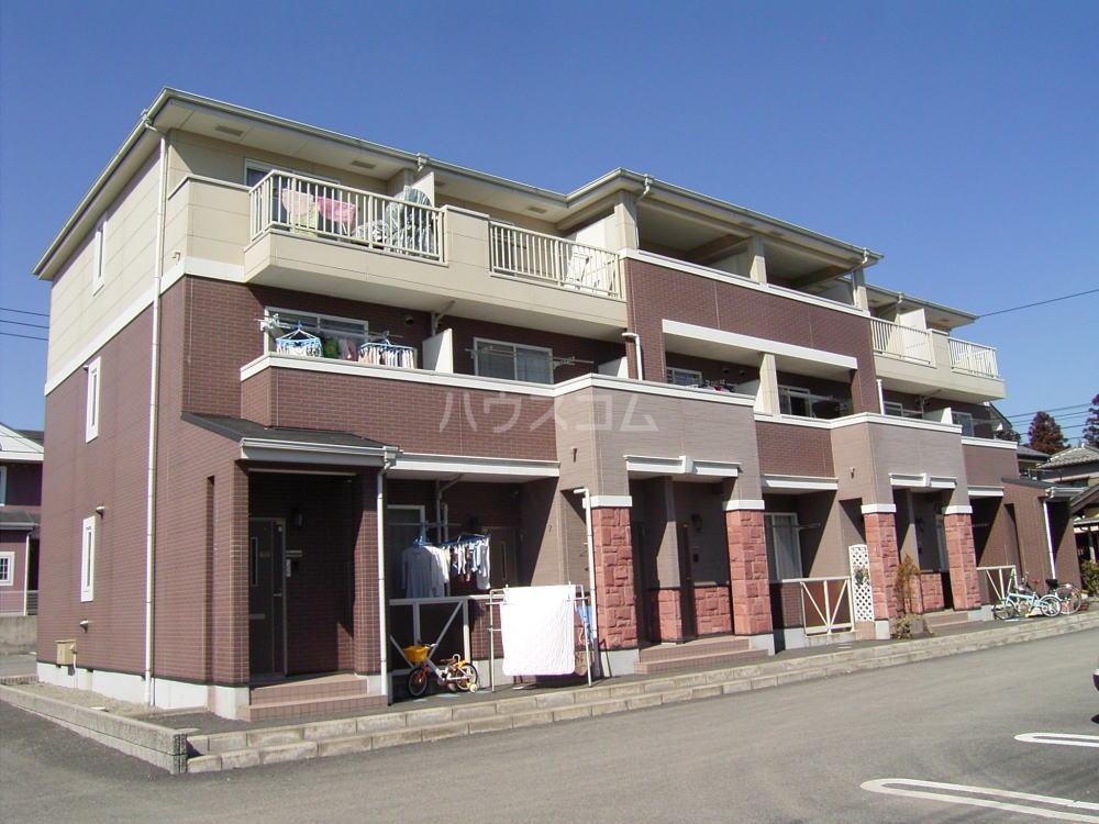 シュガーコート