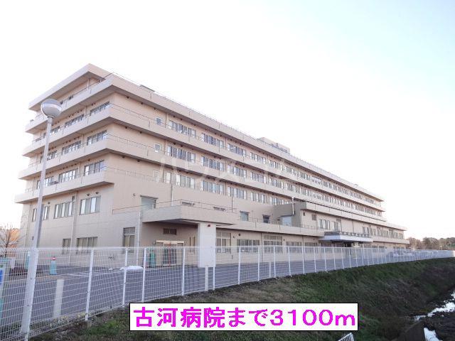 カーサヴィオラ