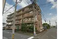 カトレア
