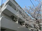 ガーデン山サウス