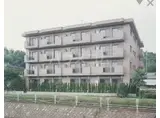 ヒヨシハイツ