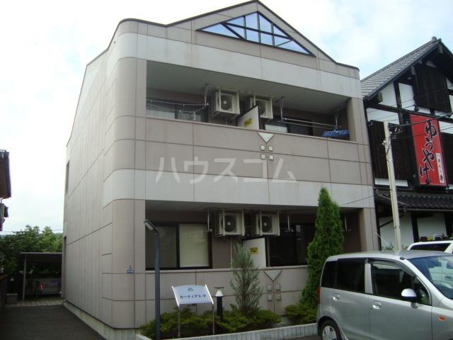 カーティアスF