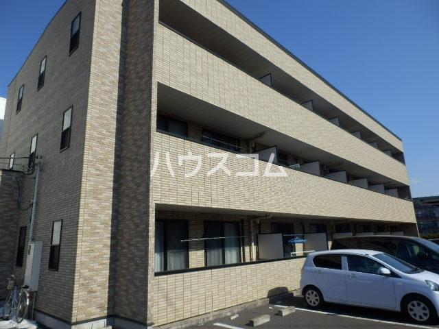 アンプルール フェール ライム