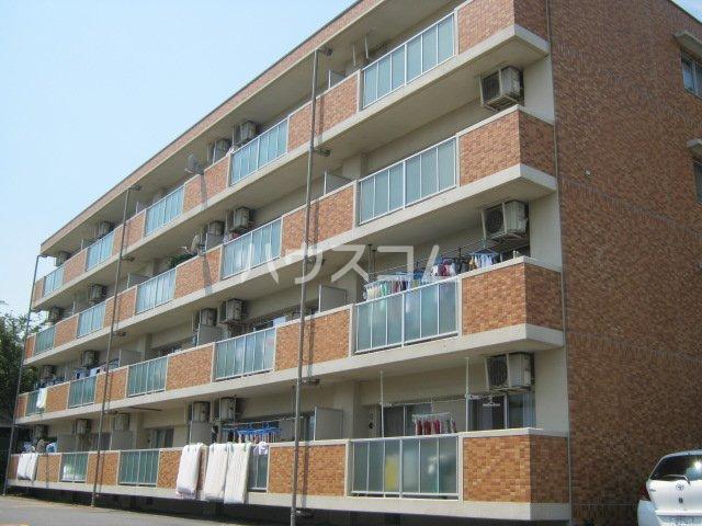 サニープレイス
