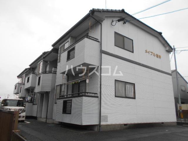 メイプル岩井