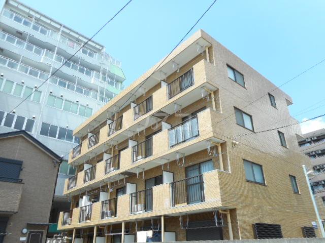 シャルム岩上