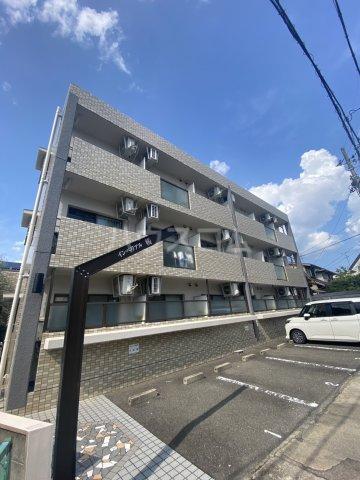 インペリアル桜