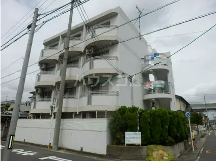 シャルムN(1K/4階)の外観写真