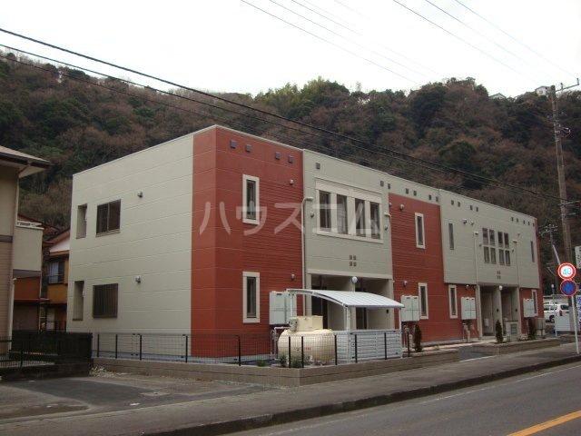 フローリッシュ・Y