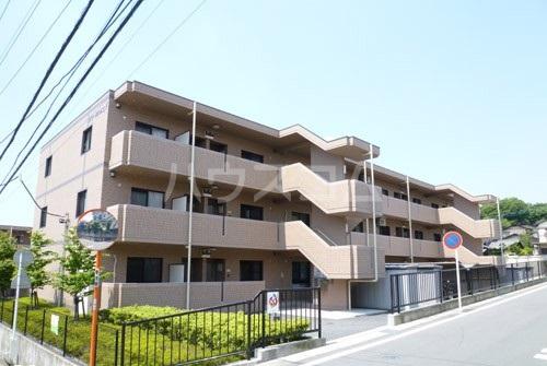 グリーングラスN