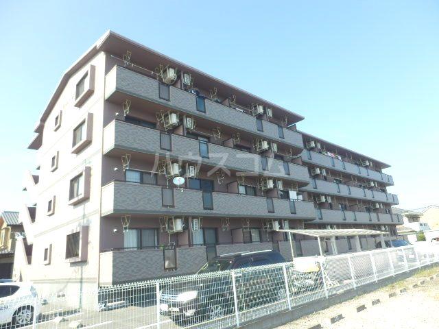 CIAO バンビーナ