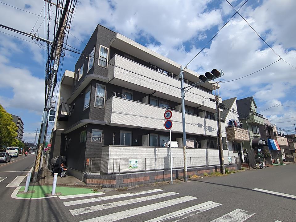 ブルベリーフィールズ