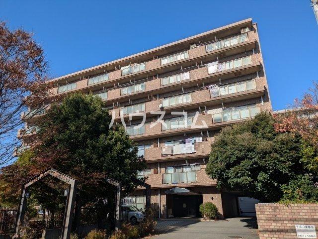 本厚木ロイヤルマンション(3LDK/1階)
