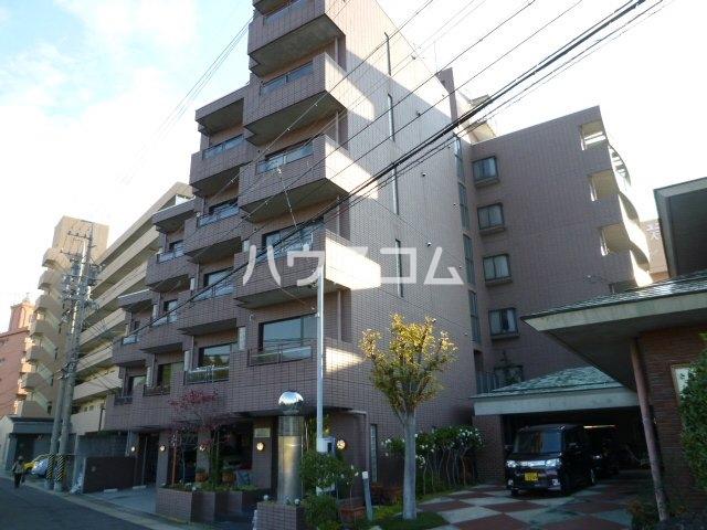 ラヴィアンムロガ