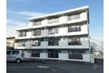 マンションシーダーⅡ