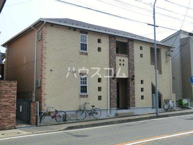 シャムロック桜