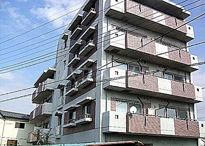 ルインズⅡ