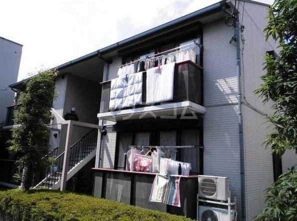 サークルナイン D