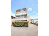 エヴァーグリーン