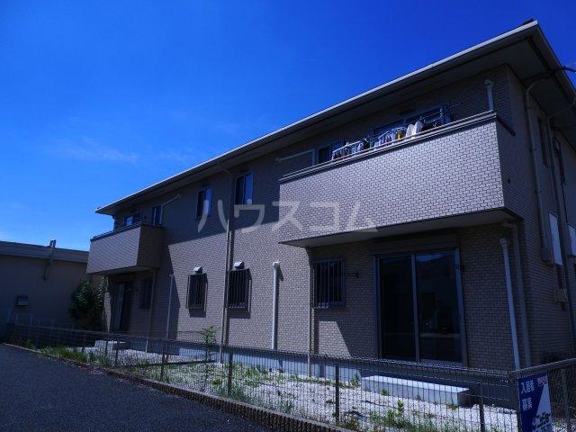 アプリコット
