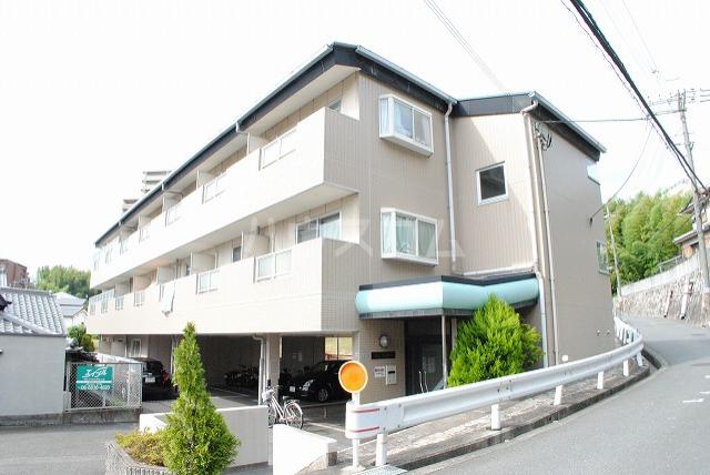 ソルフェリセス