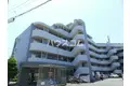 ブルームライフ市川