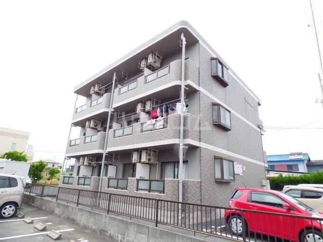 ウィルコート初南