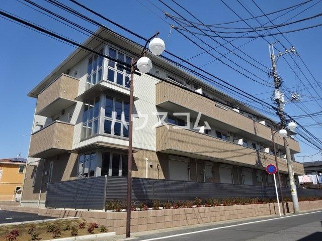 アネシス