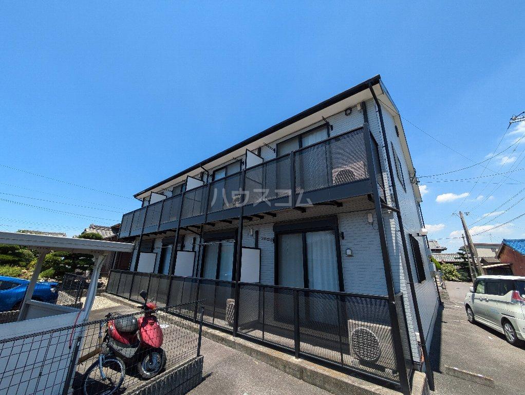 アンプルールリーブルさつき