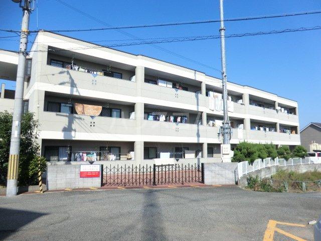 ジェントリーT.M.Y