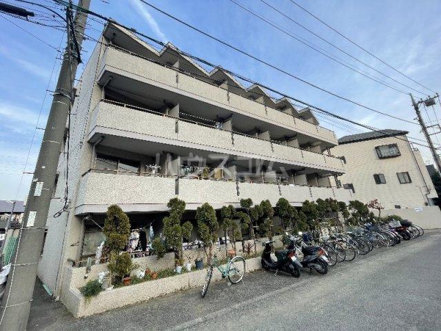 セザール元住吉