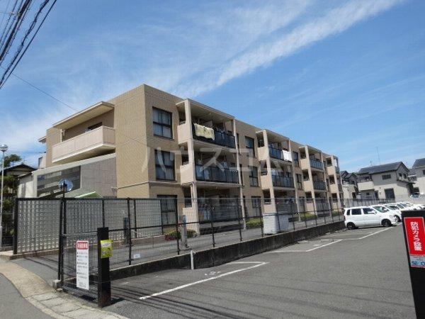 ローファス小島