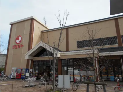 サンライズ西院(1K/4階)の周辺写真