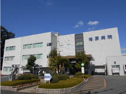 東武伊勢崎・大師線 姫宮駅 徒歩15分 2階建 築52年(4DK)の周辺写真