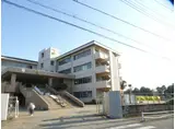 東武伊勢崎・大師線 大袋駅 徒歩12分 2階建 築34年